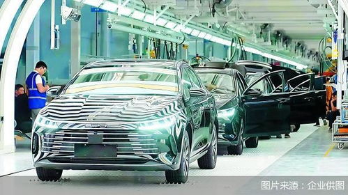 中國車企搶灘馬來西亞救護車市場 技術升級與本地化戰略并舉